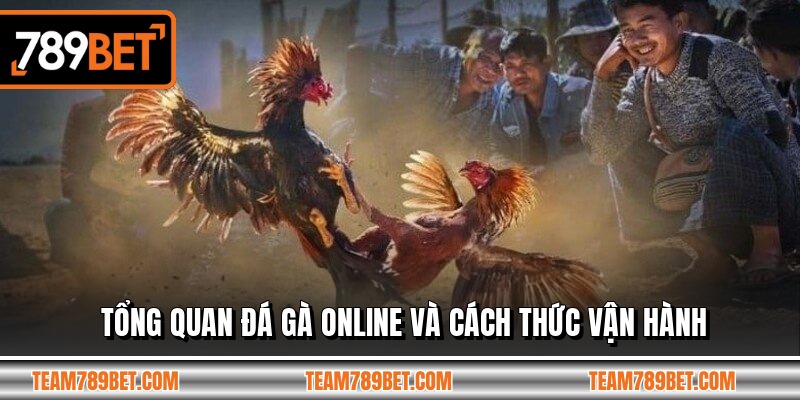 Tổng quan đá gà online và cách thức vận hành